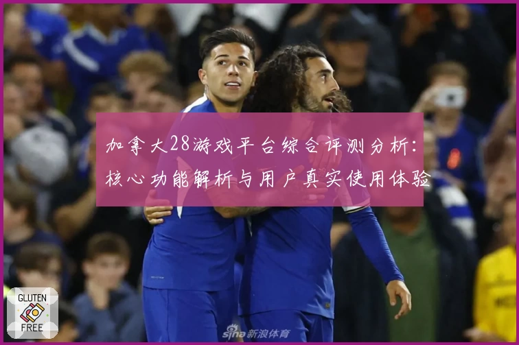 加拿大28游戏平台综合评测分析：核心功能解析与用户真实使用体验汇总