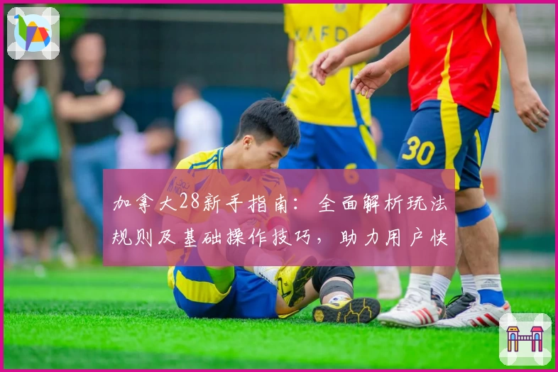 加拿大28新手指南：全面解析玩法规则及基础操作技巧，助力用户快速上手体验