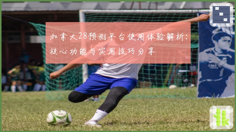 加拿大28预测平台使用体验解析：核心功能与实用技巧分享