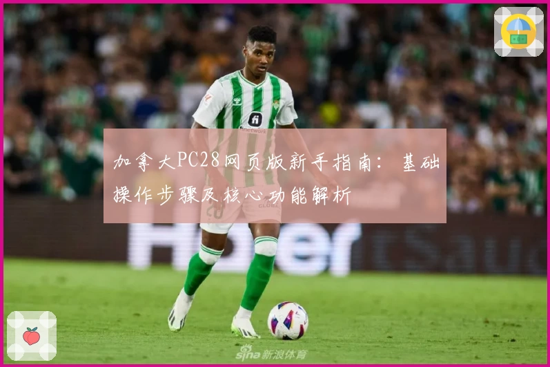 加拿大PC28网页版新手指南：基础操作步骤及核心功能解析