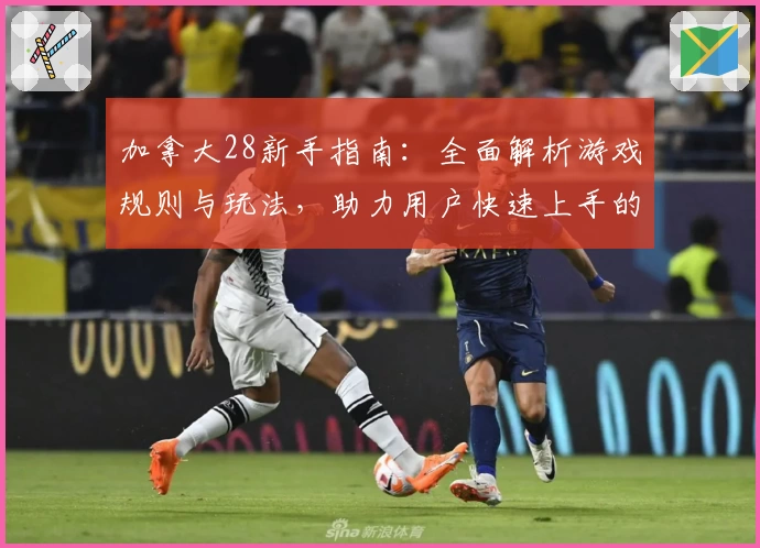 加拿大28新手指南：全面解析游戏规则与玩法，助力用户快速上手的必备教程