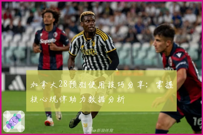 加拿大28预测使用技巧分享：掌握核心规律助力数据分析