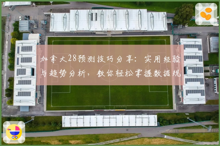 加拿大28预测技巧分享：实用经验与趋势分析，教你轻松掌握数据规律