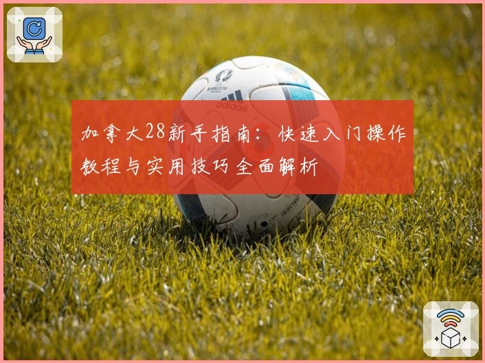 加拿大28新手指南：快速入门操作教程与实用技巧全面解析