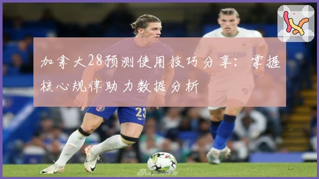 加拿大28预测使用技巧分享：掌握核心规律助力数据分析