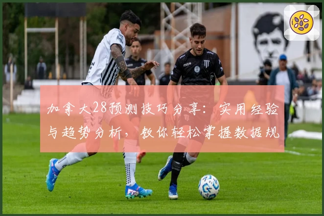 加拿大28预测技巧分享：实用经验与趋势分析，教你轻松掌握数据规律